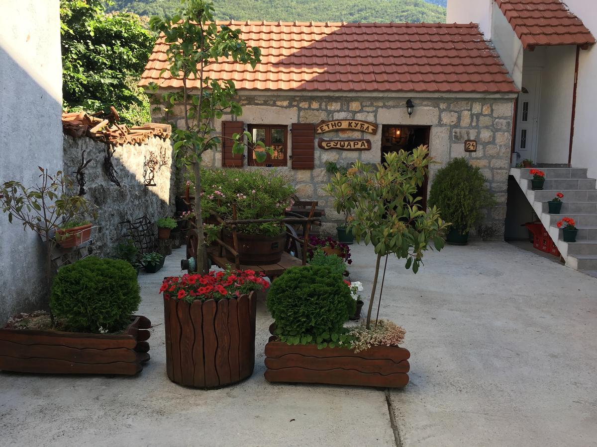 Bnb Njeguska Sijela Njegusi Dış mekan fotoğraf